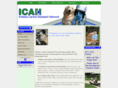 icandog.org