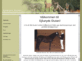 sjoaryds.com