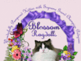 blossomragdolls.com