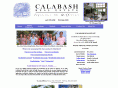 calabashrealtors.com