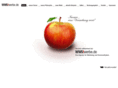 wws-werbe.com