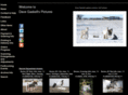 davegaskellpictures.com