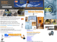 handyman-plumbing.com