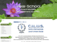 heal-school.org