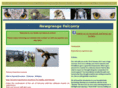 newgrangefalconry.com