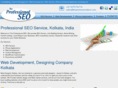 theprofessionalseo.com