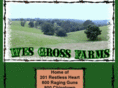 wesgrossfarms.com