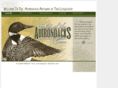 adirondackanglingart.com