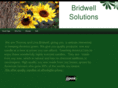 bridwellsolutions.com