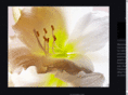 coolimagery.com