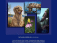 fieldandfeathers.com