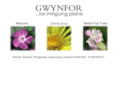 gwynfor.co.uk