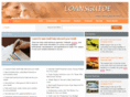 loansguides.com