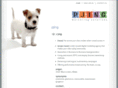 pjing.com