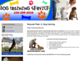 prodogtrainingservices.com