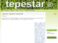 tepestar.com