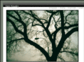 vernkousky.com