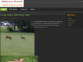 wildernessrevived.com