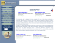 411bankruptcy.com