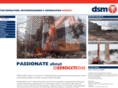 dsmgroup.biz