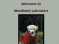woodlandlabradors.com