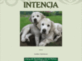 intencja.com