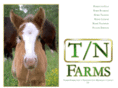 teahenfarms.com