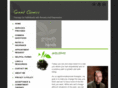 carsoncitytherapy.com