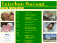 teischan.com