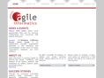 agile-informatics.com