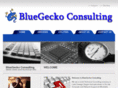 bluegeckoconsulting.com