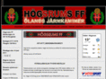 hogsrumsff.se