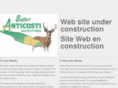 ileanticosti.com