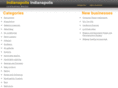 indianapolis-indianapolis.com