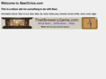 beeronice.com