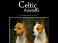 celticamstaff.com