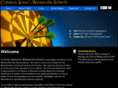 csfws.com