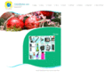 1globemarket.com