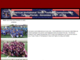 aiyfc.com