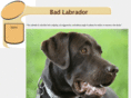 badlabrador.com