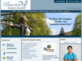bluehensurgerycenter.com