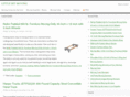 littlebitmoving.com