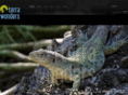 terrawonders.com