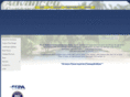 customswimingpools.com
