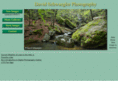davidschwaegler.com
