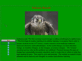 falconroost.org