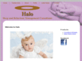 halo-consultants.com