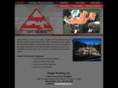 steppiroofing.com