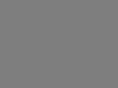 betterpet.cn