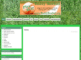 buddybaseball.org
